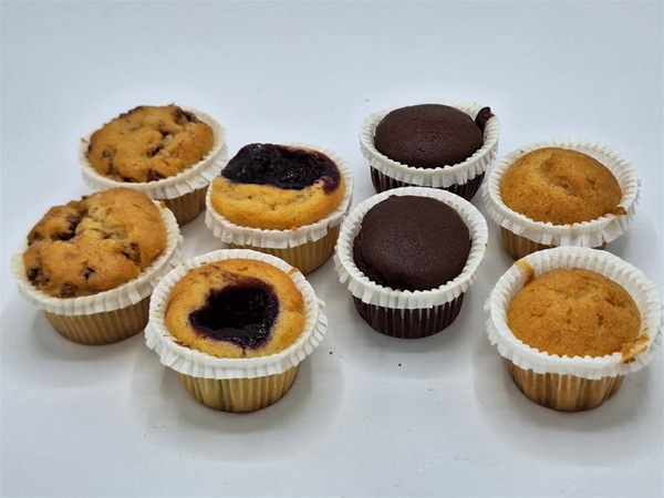 Mini muffins gesorteerd VEGAN (8)